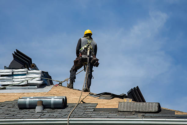 Professional Roof Installation technician working in Petroleum, IN